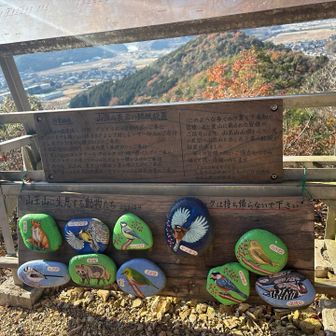 山王山山頂は賑やか