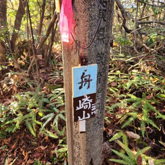 諸頭山からの到達はちょっと難儀です。