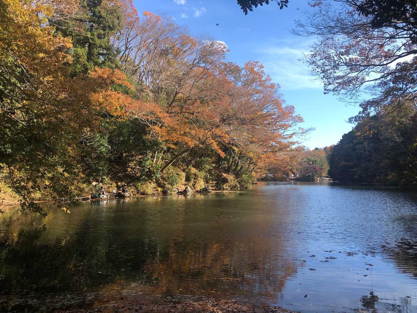 震生湖に着きました。風があり、湖面に紅葉がキレイに映らない。