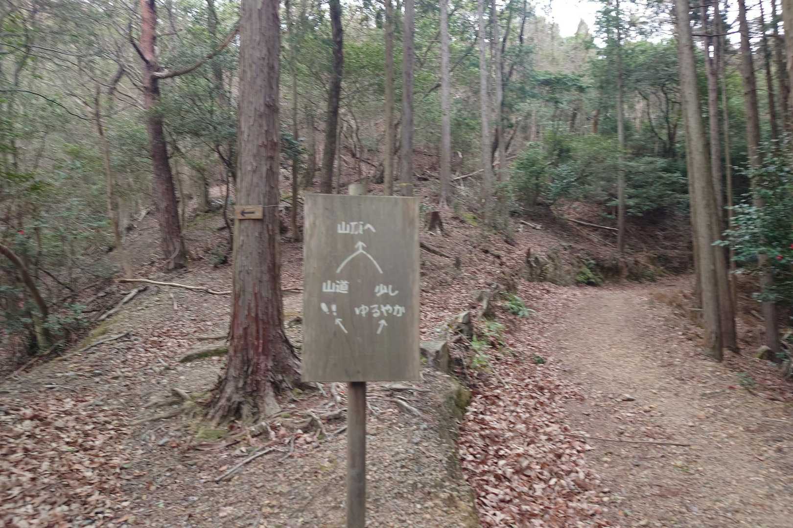 かいがけの道登り口-三上山-冒険の道登り口-山頂の道登り口 周回コースの写真
