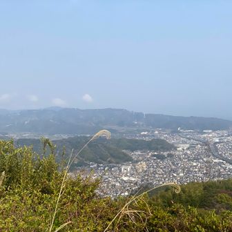 今日は富士山見えない