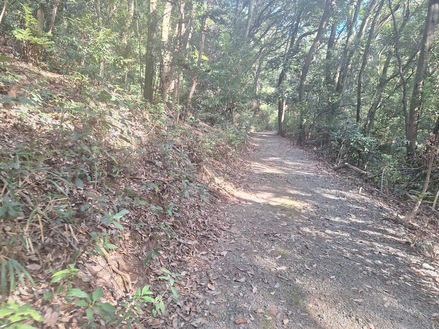坂もありますが、写真はやはり心地よいところですね(^.^)