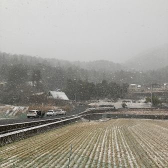 あっという間に真っ白に