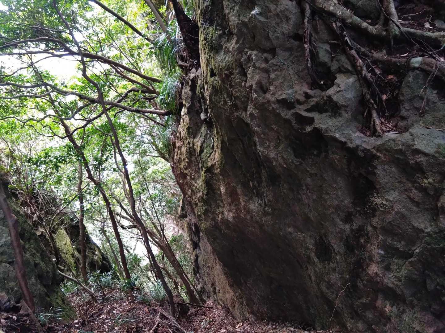 またまた巨岩🙄🤸🤸😱