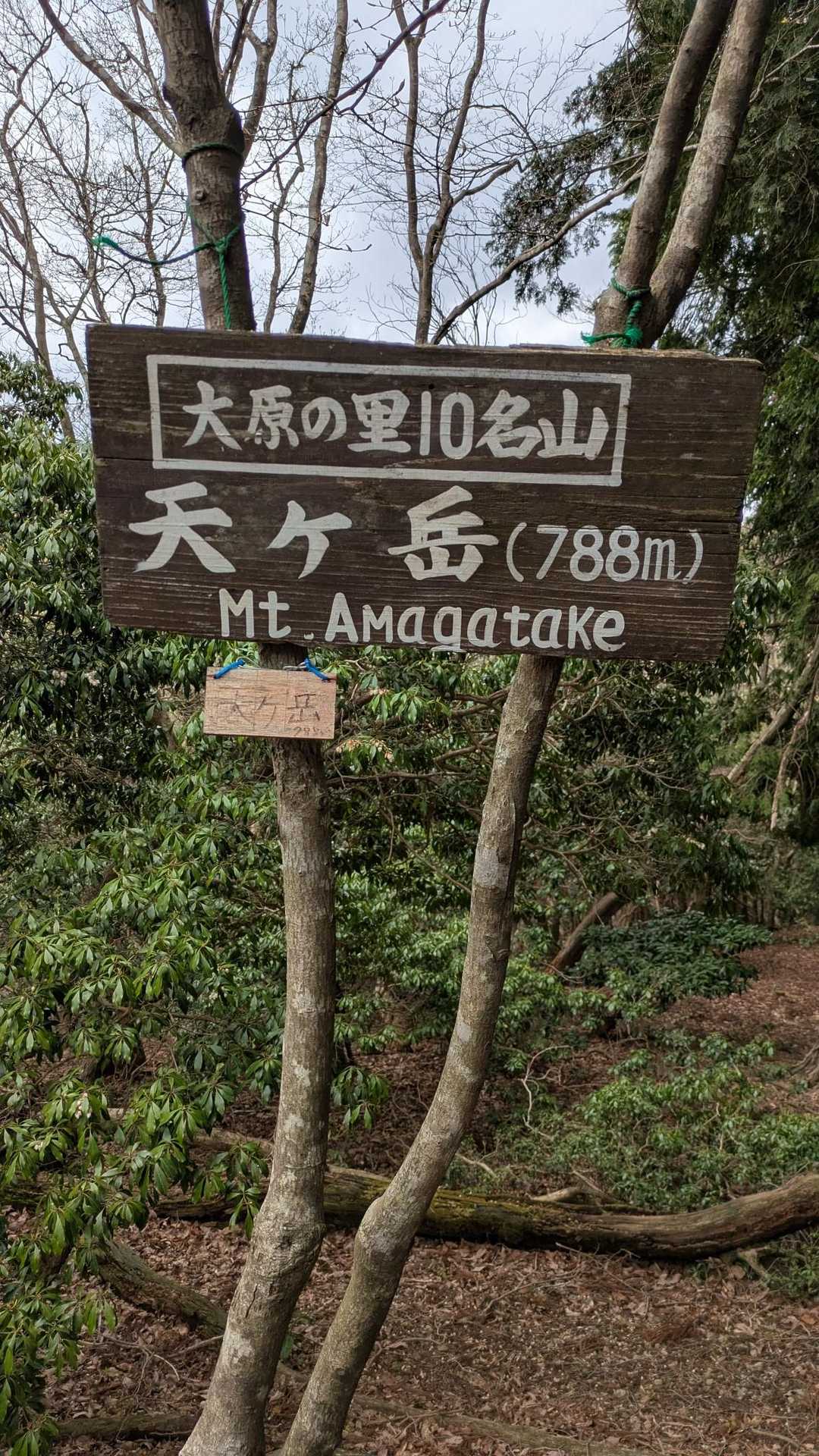 やっと、天ヶ岳に到着👍