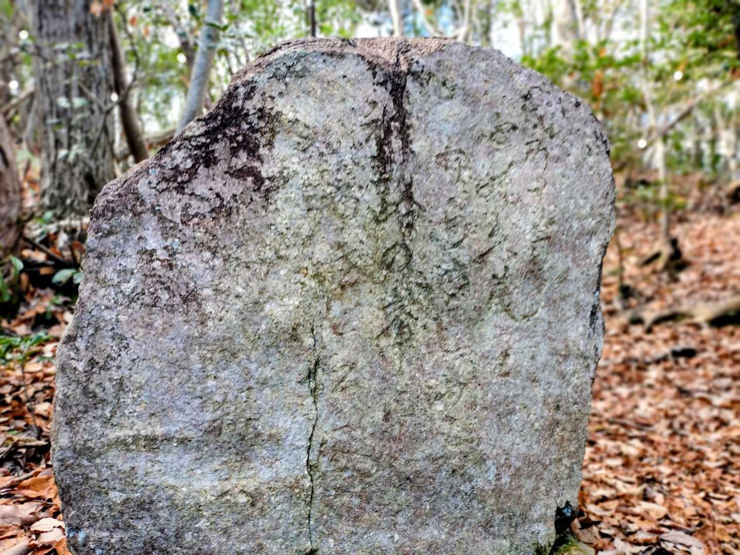 何か文字が彫ってあるが 旅路の峯 しか読めない…