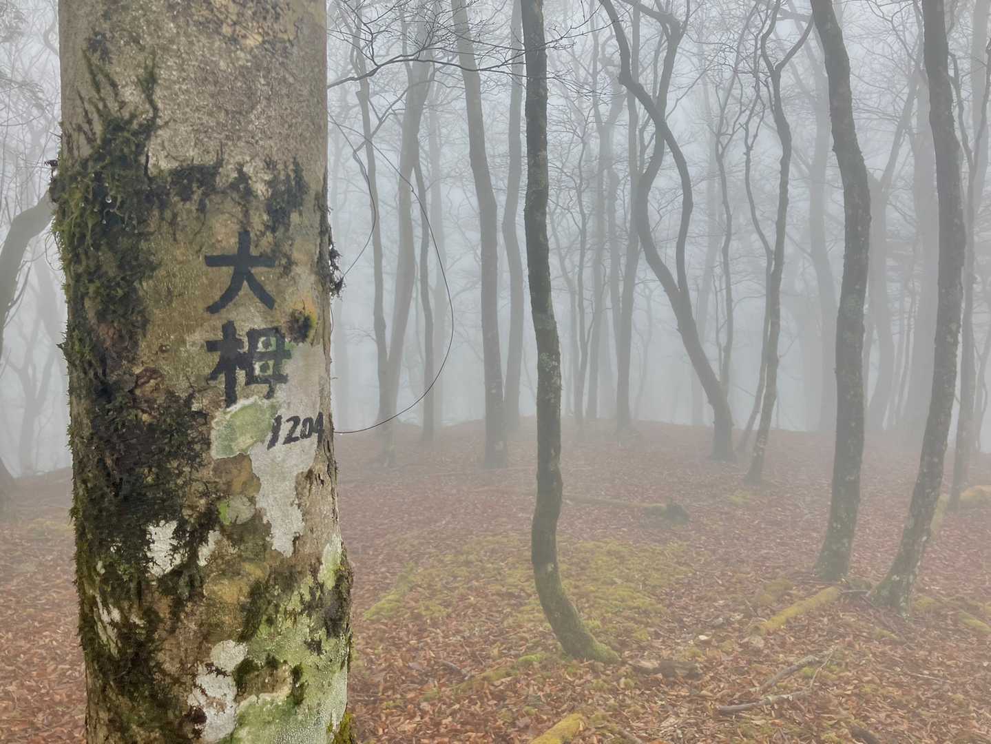本日の２座目。
ずぶ濡れでヘトヘト。ここまで来たのを後悔中笑。