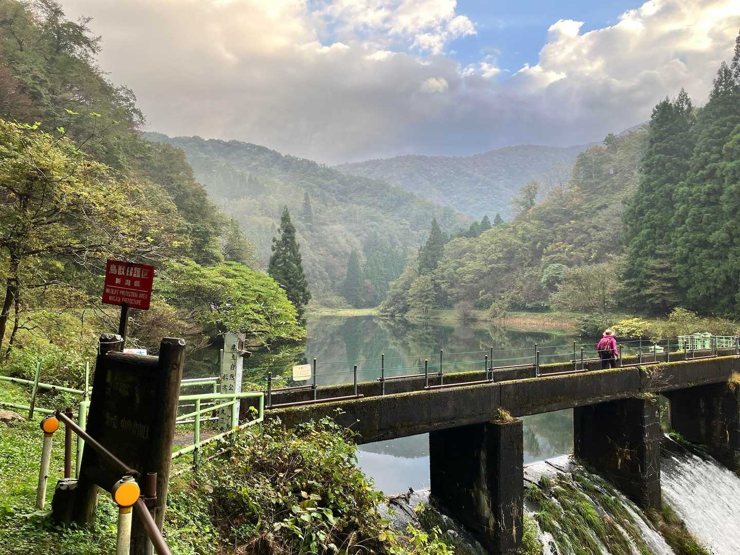 粟ヶ岳登山口-粟ヶ岳 往復コースの写真