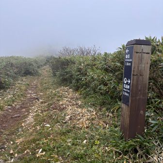 さて、今日は長い道のりです