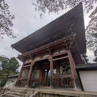下山🐾
下醍醐寺拝観させていただきます🙏

拝観料
伽藍(御朱印)のみなら600円
三宝院合わせて1000円

せっかくなら三宝院も是非👍