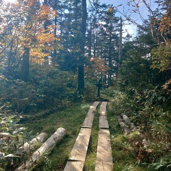 おかげで静かな山歩きを楽しめました🥰
所々で始まる紅葉🍁も良き😻