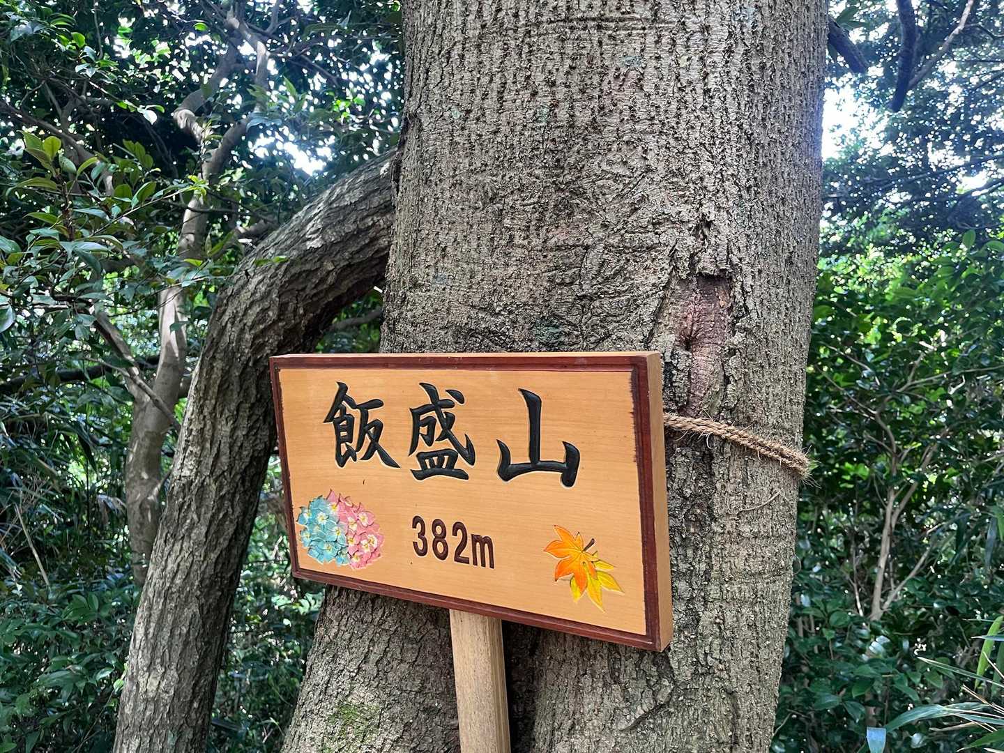 飯盛山-日向山-高地山 往復コースの写真