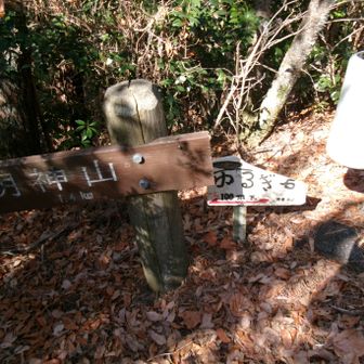 車道にでて左の山頂広場に