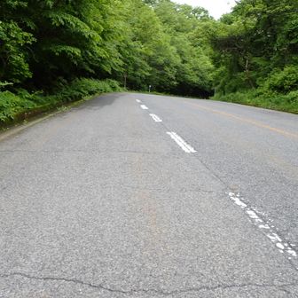一度舗装道路へでる