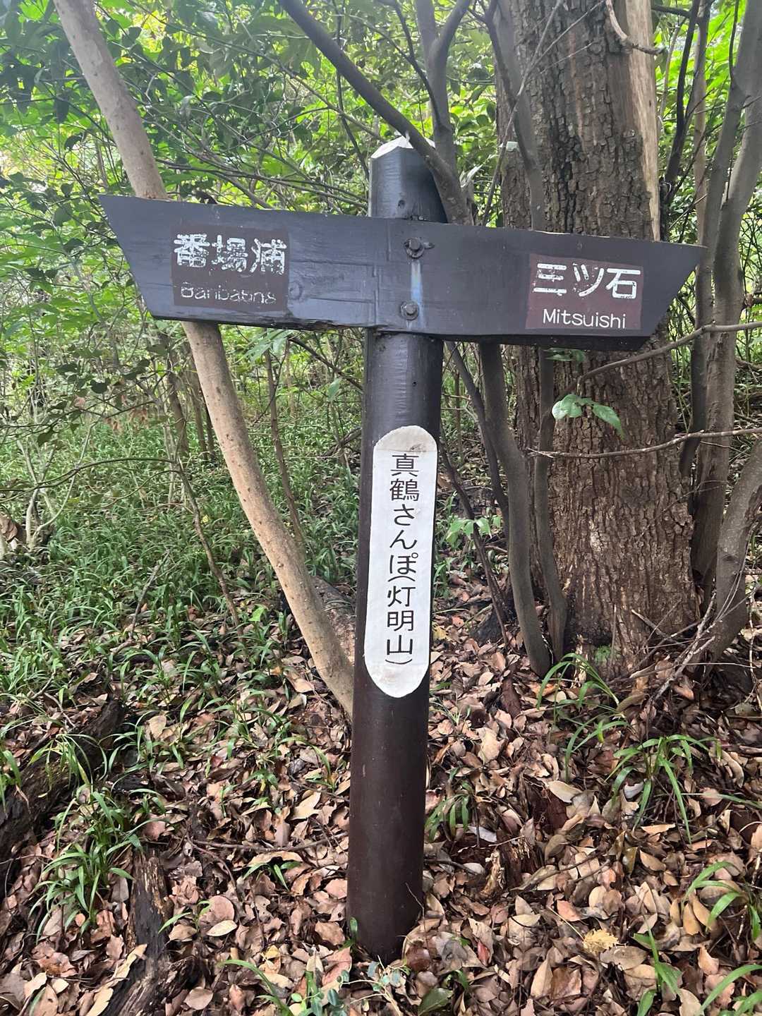 灯明山 往復コースの写真