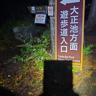 大正池バス停