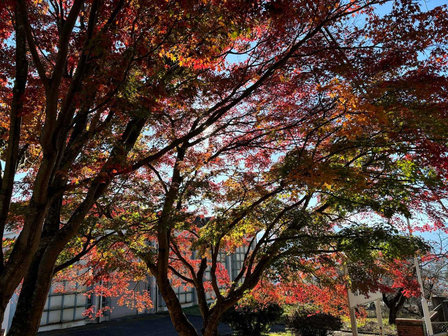 深田公園入口-茅ヶ岳-金ヶ岳-茅ヶ岳登山道入口 縦走コースの写真
