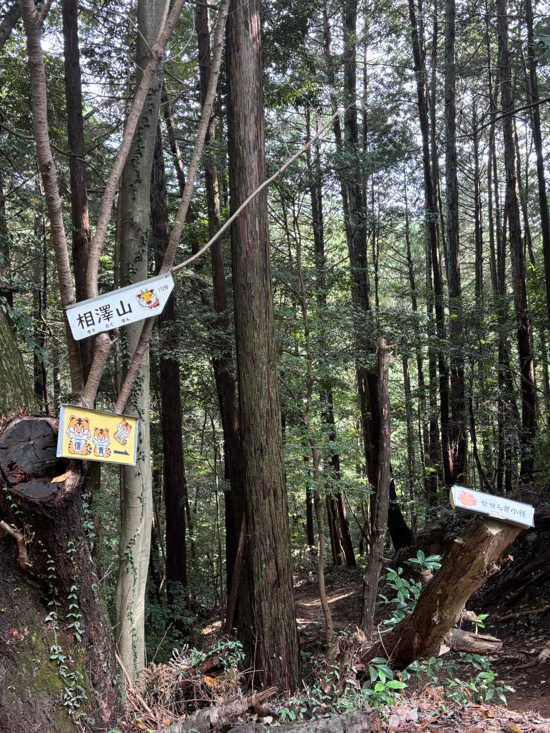 薄暗いので…行く勇気なし😅