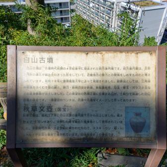 標識はこの看板の裏にあります
