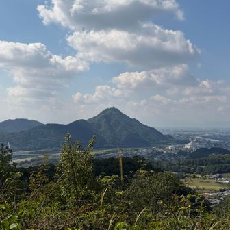 金華山