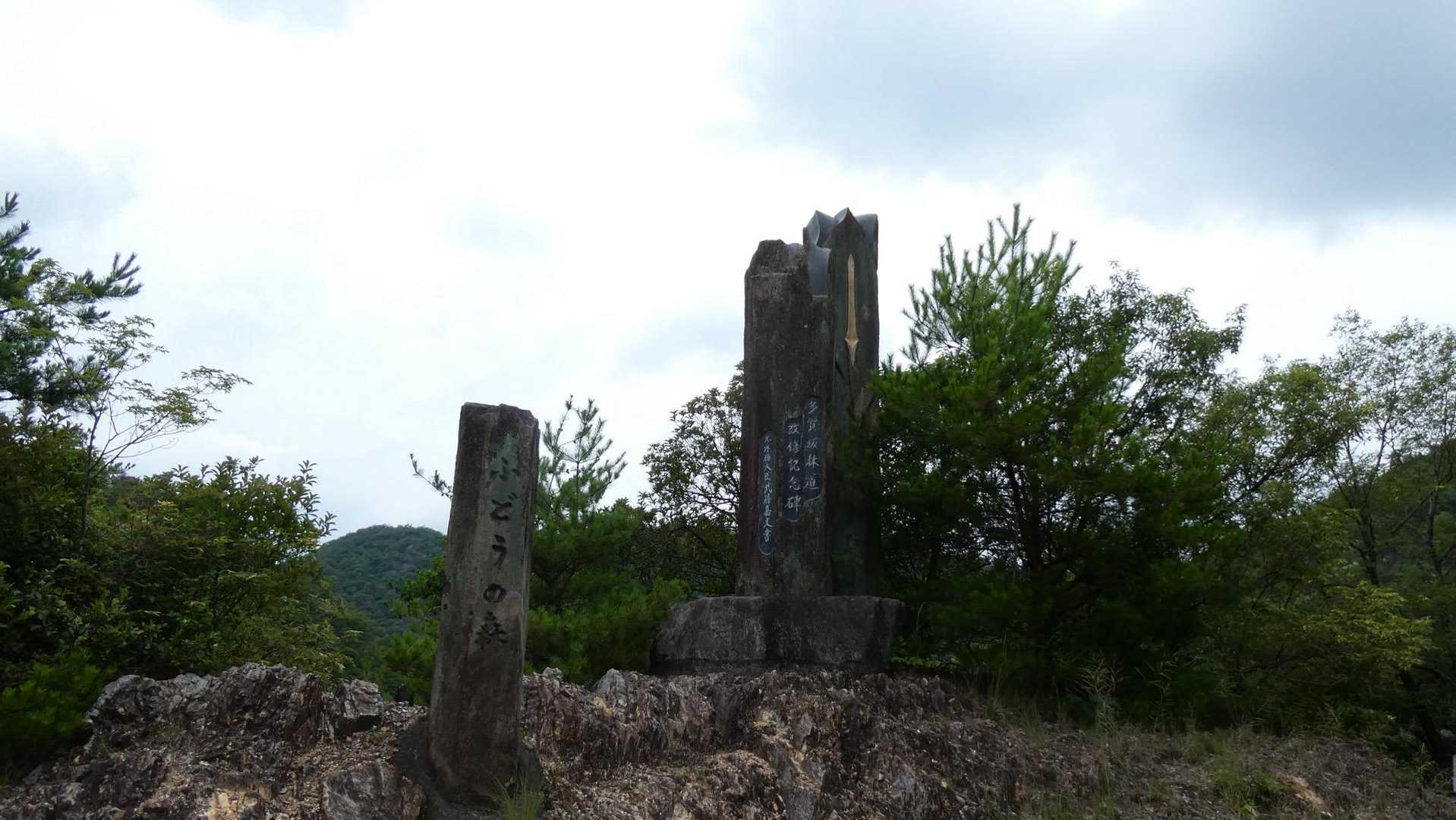 金山-岩坂峠-岩坂山-須衛山-向山 往復コースの写真