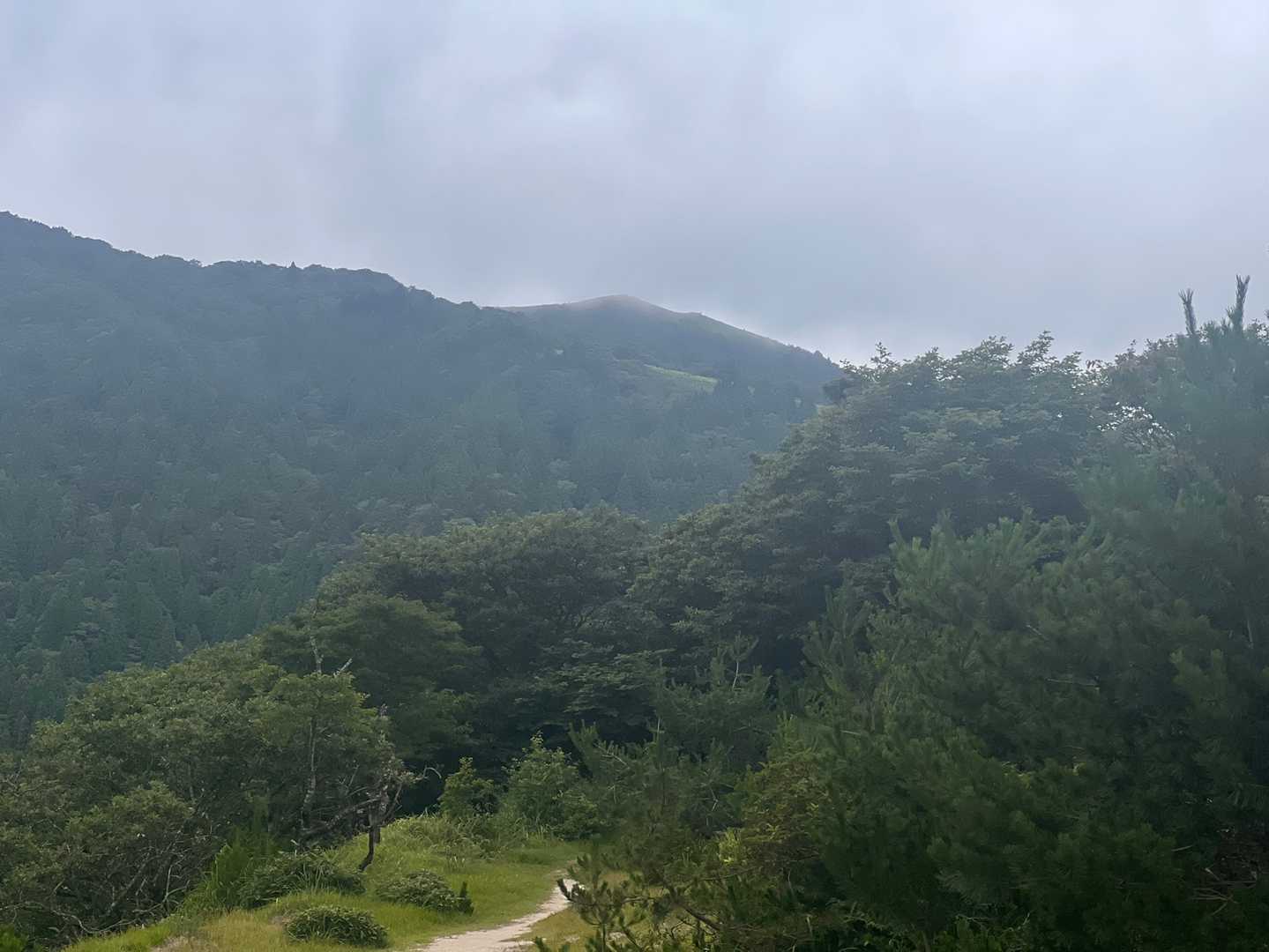 武奈ヶ岳はガスの中( ˙_˙ )