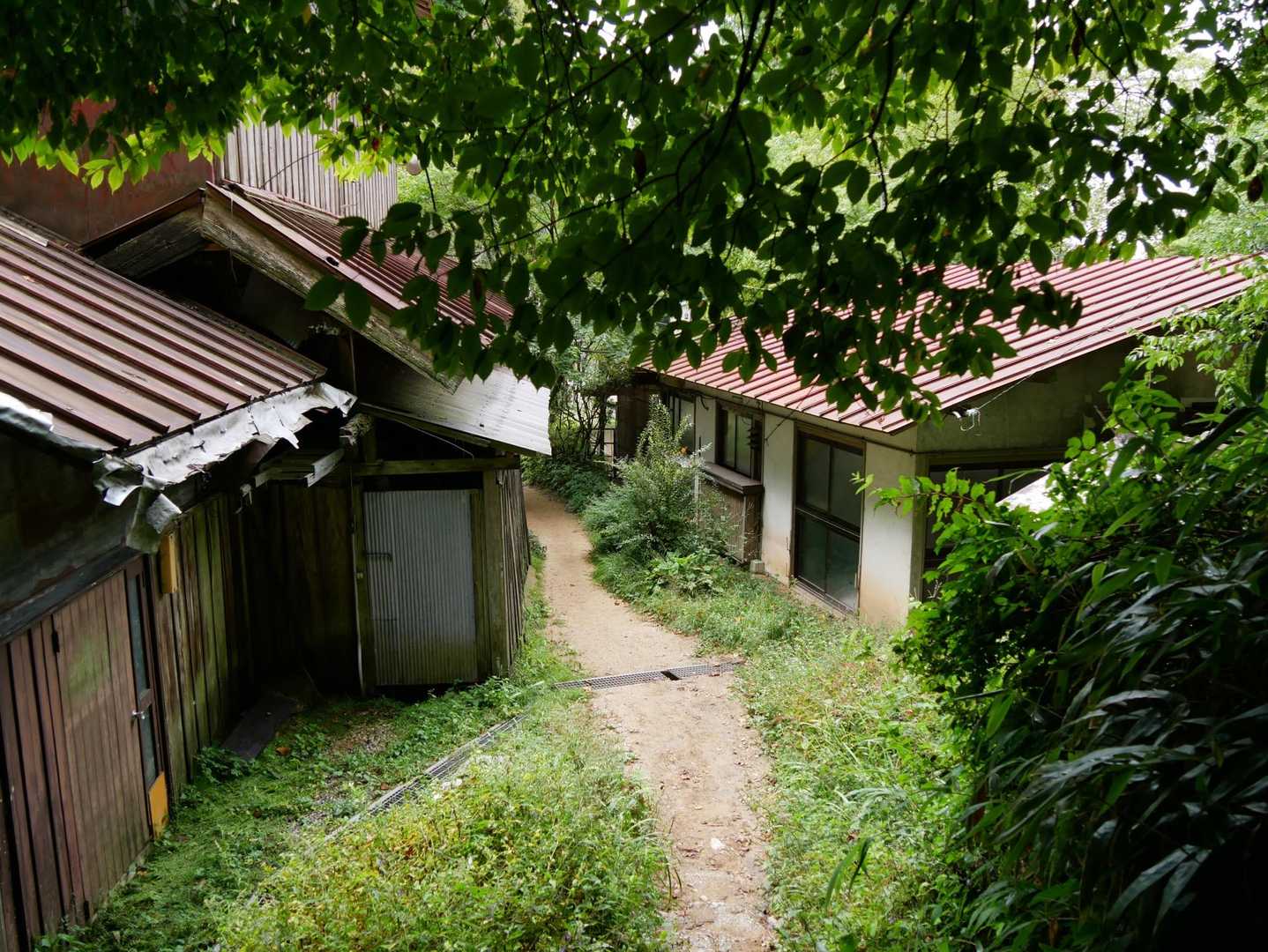 一気に山頂小屋まできました🛖