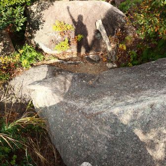 カッコイイ影(笑
ここでお昼にしよう🍙