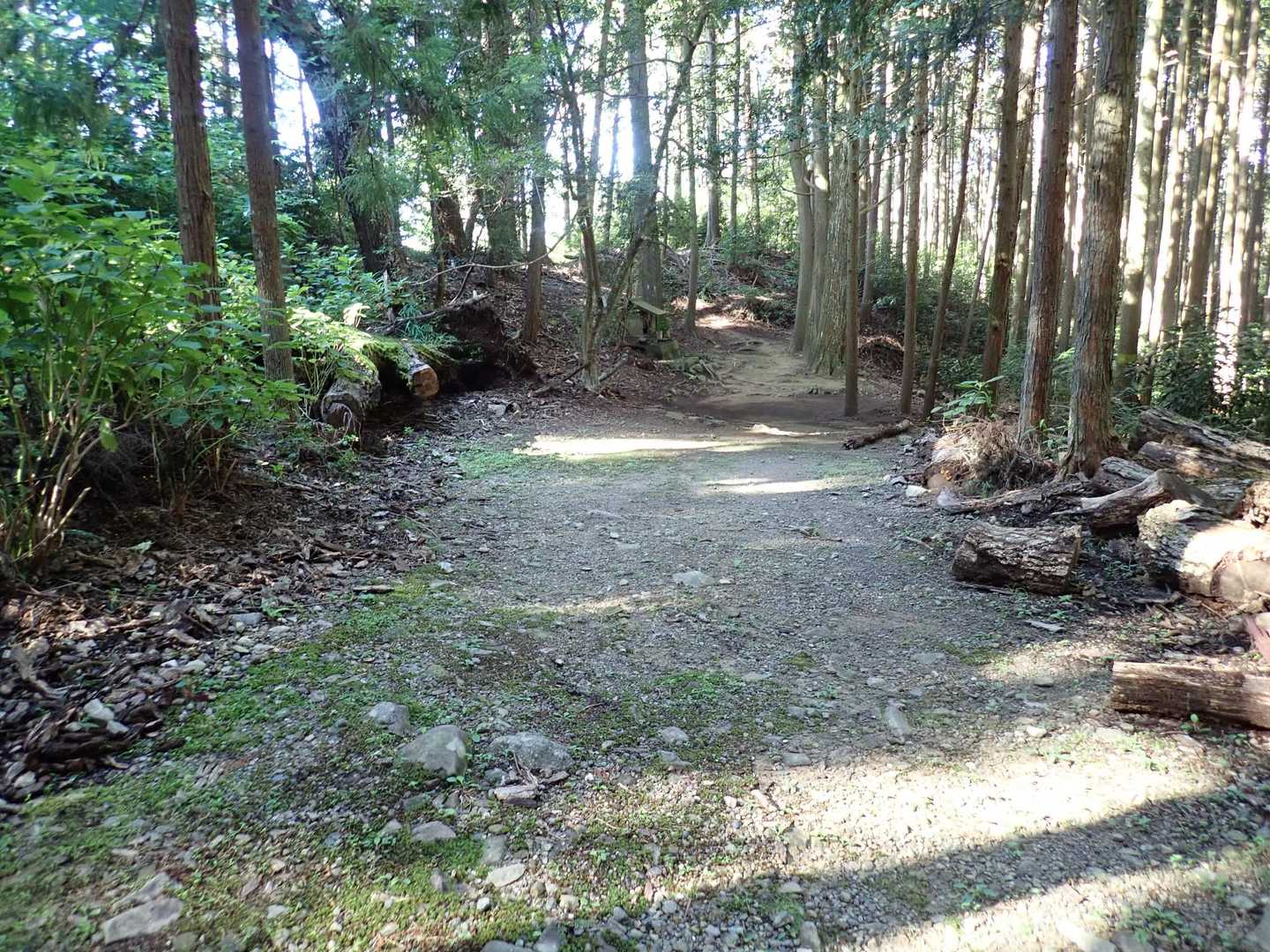 山の神着。