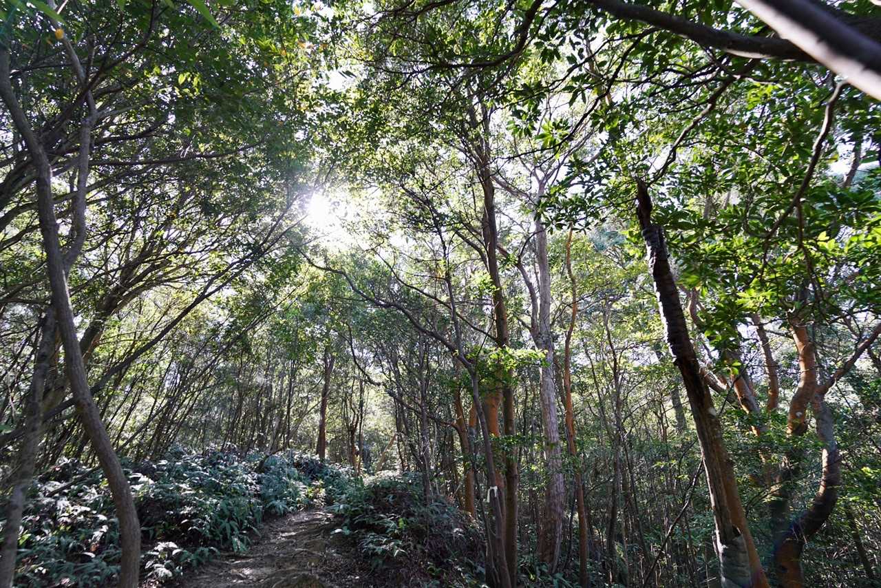 登山開始