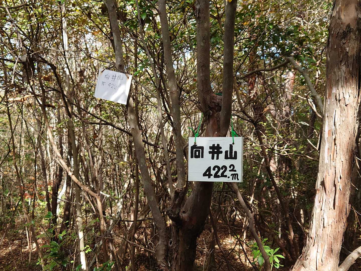 向井山🚩に たどり着いてホッとしました🙆