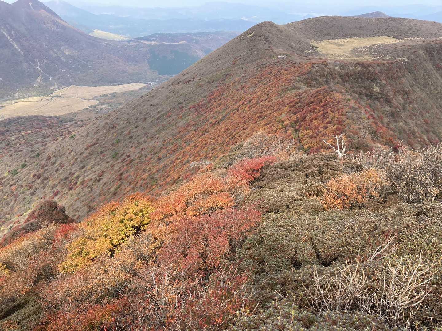 大船山 往復コースの写真