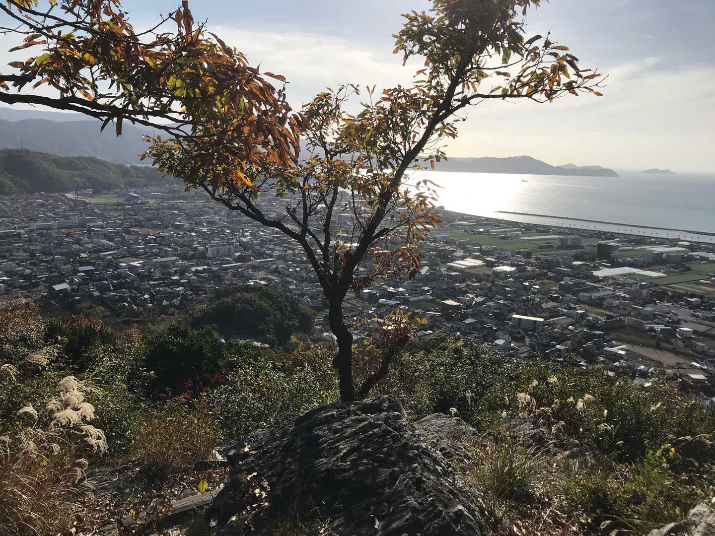 名草山 往復コースの写真