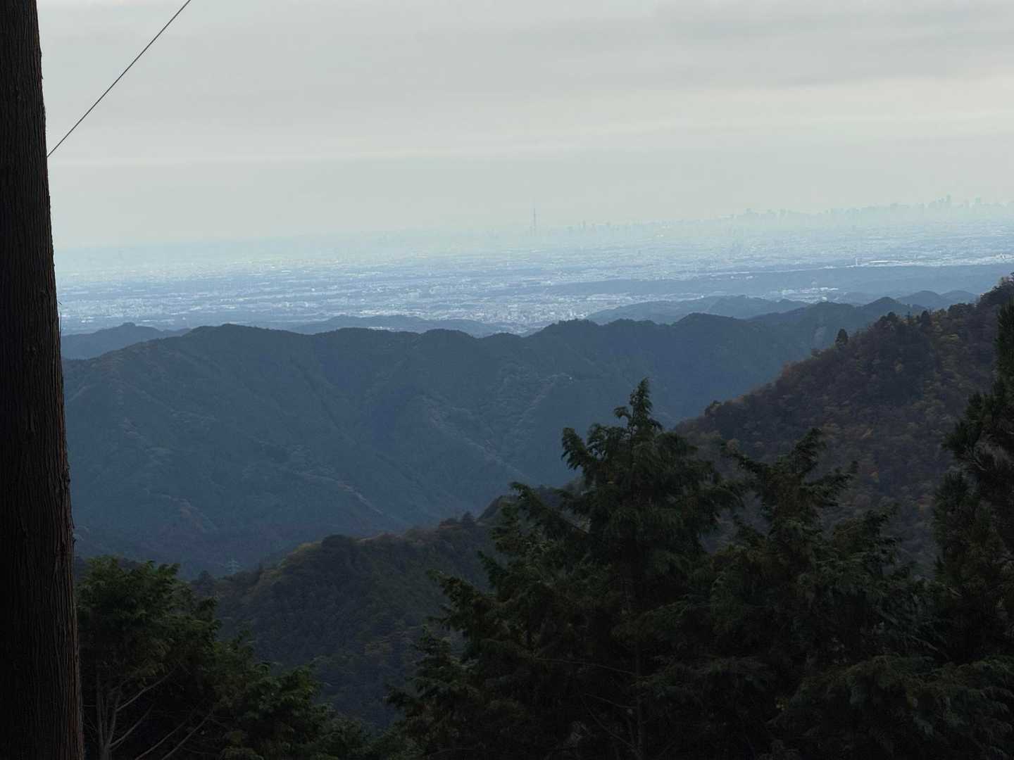 曇り空ながらスカイツリーが眺められ👀
山を越えると関東平野