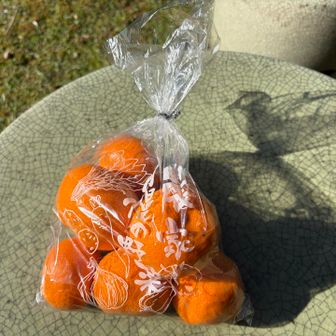 みかん７個１００円
激安で美味しかった