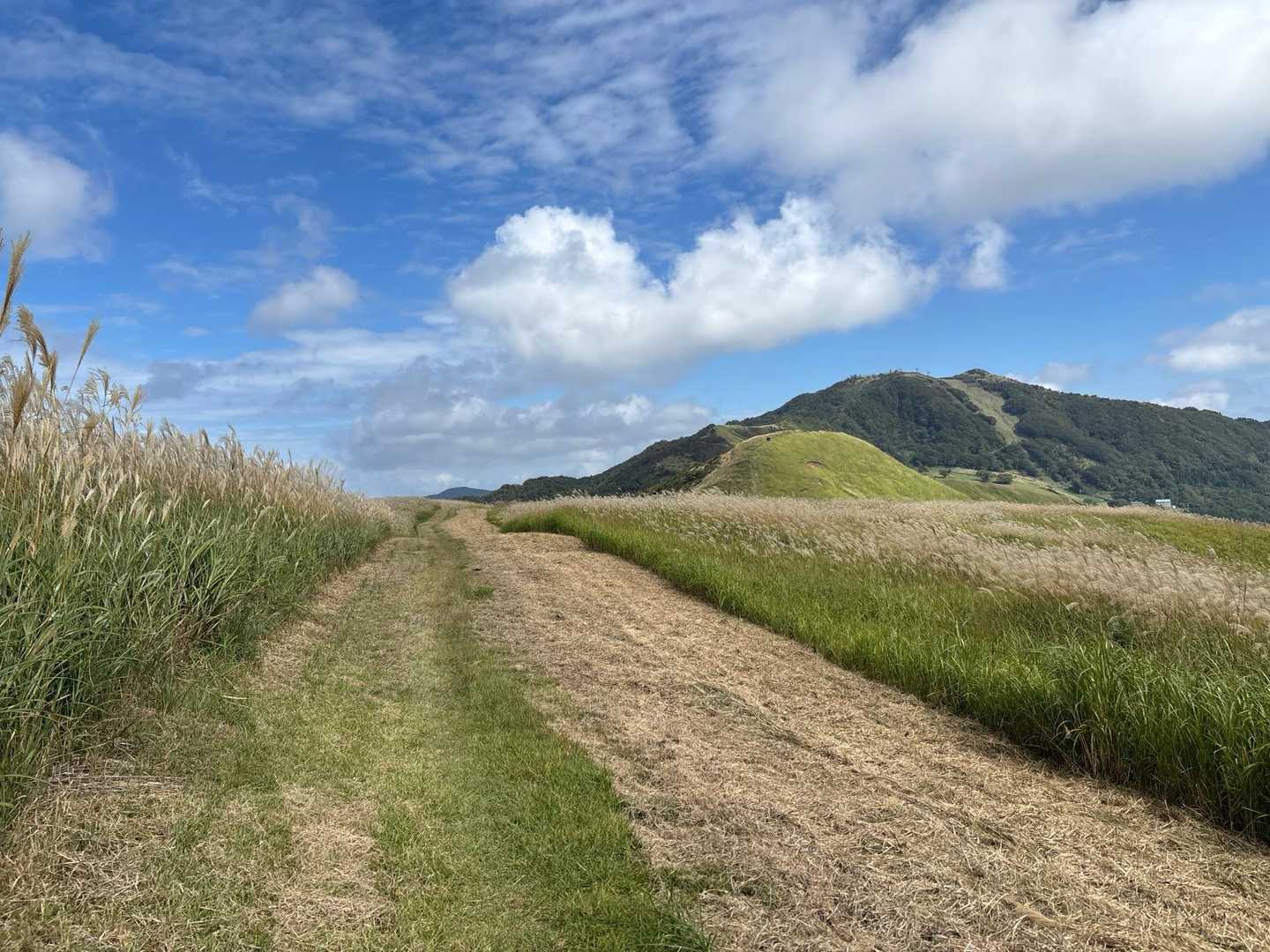 氷ノ山登山口-地蔵堂-小代越-ハチ高原バス停 縦走コースの写真