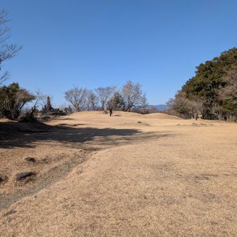足柄城跡は公園になってました