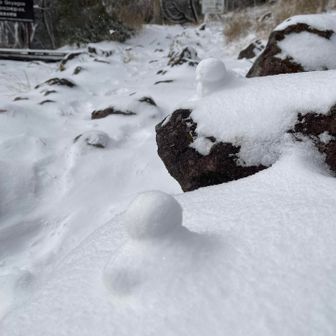 行きがけに元気だったアヒルちゃんは雪に埋もれかけ