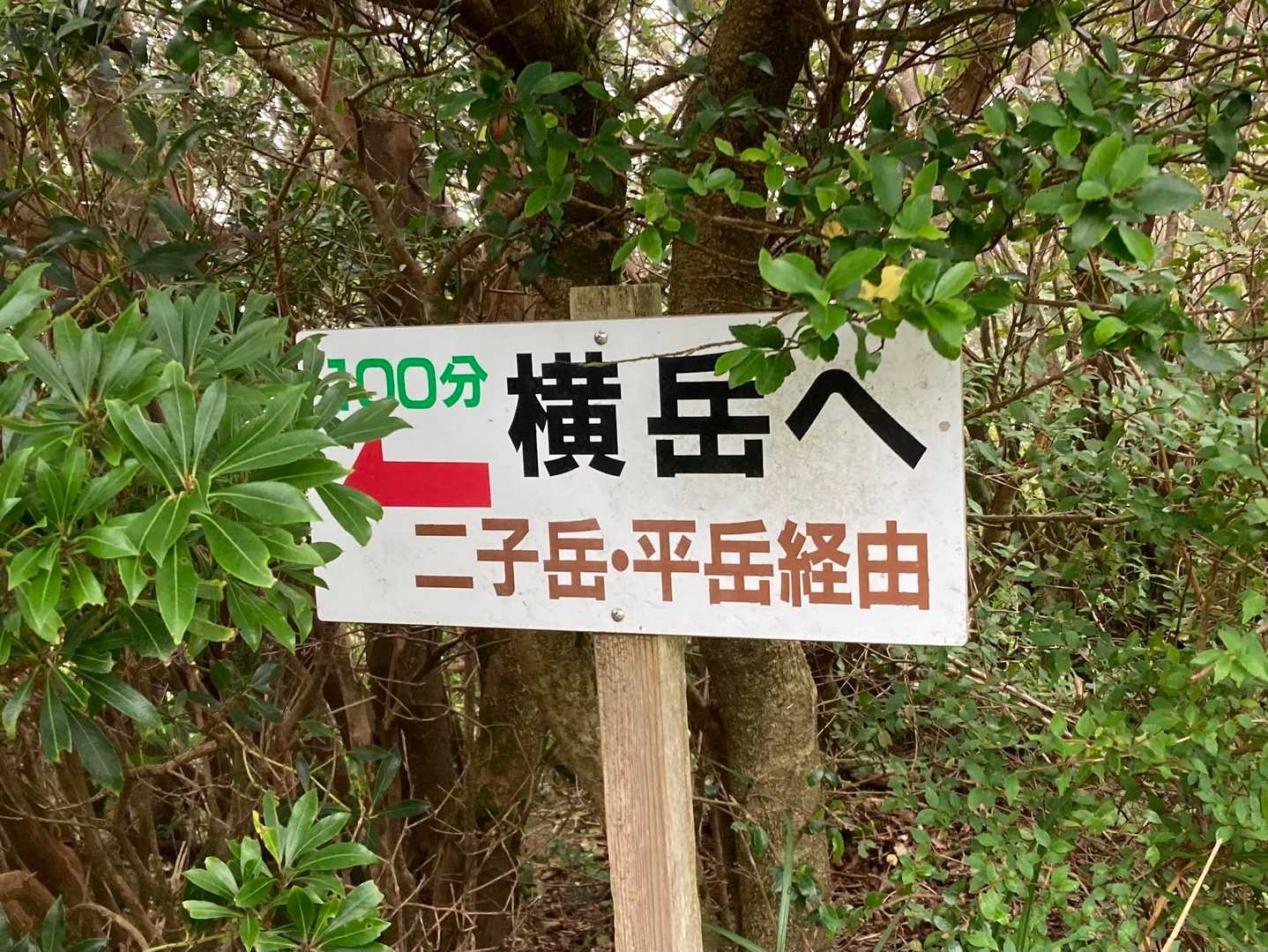 今日は行きません😅