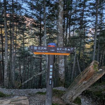 ようやく二合目
馬の背ヒュッテからはほぼノンストップで下山
途中足が吊ったけど、、、