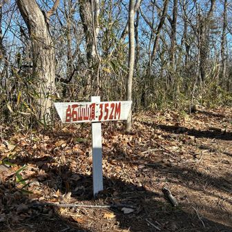 ４つ目にピーク 白石山