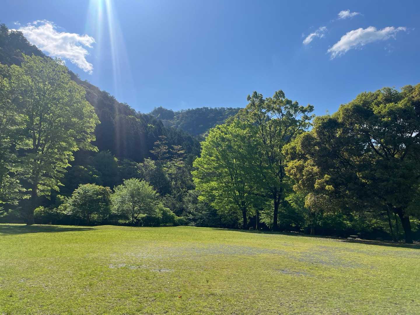 空とグリーンが最高