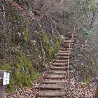 そして百々ヶ峰に登る🥾