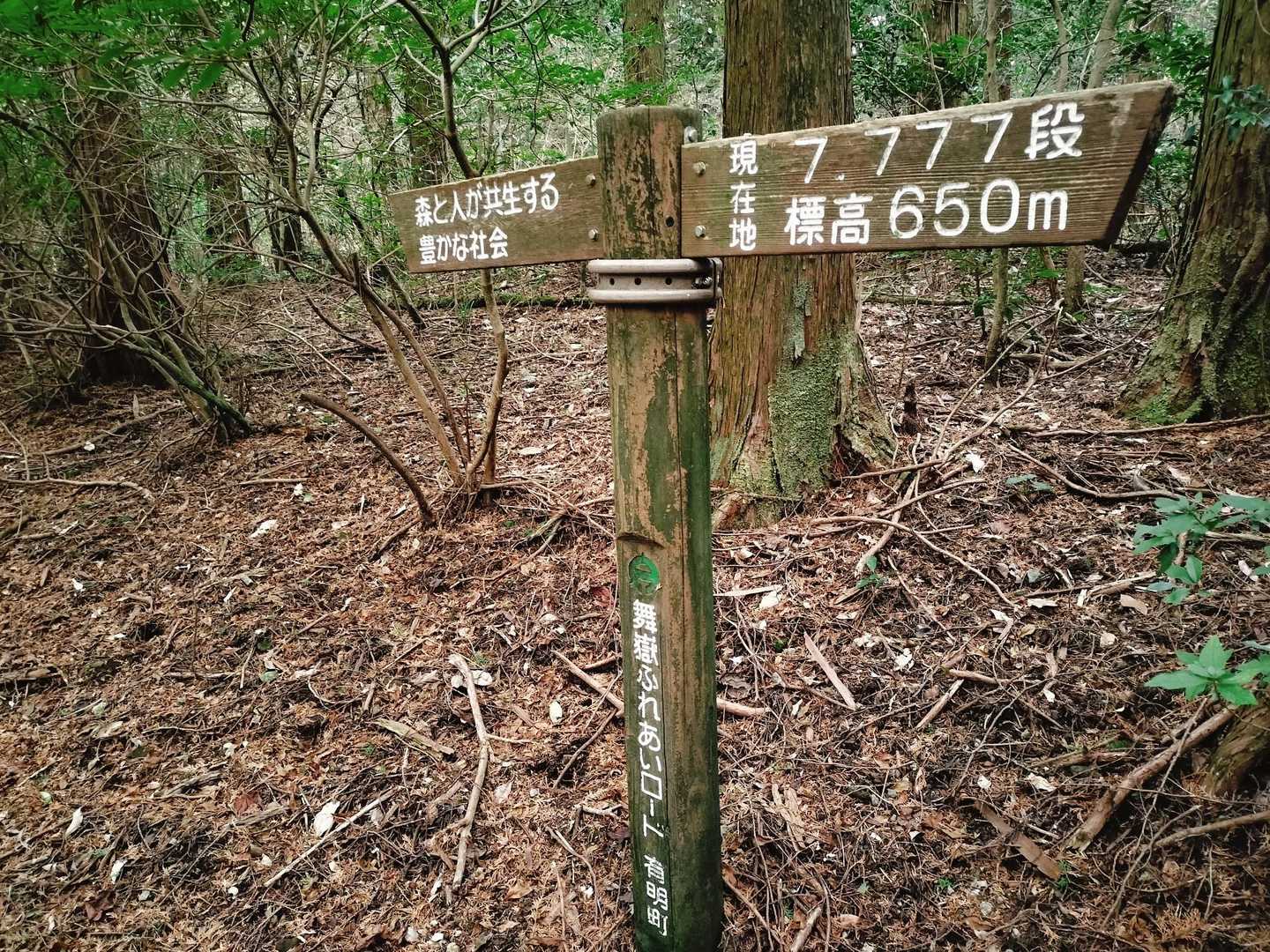 7,777段。いいことありそうラッキーセブン🍀😁
山頂まであと少しだ⛰️