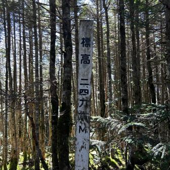 中山？