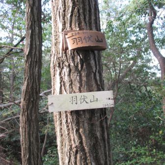 羽伏山　284m
はねふせやま
星田連山最高峰
