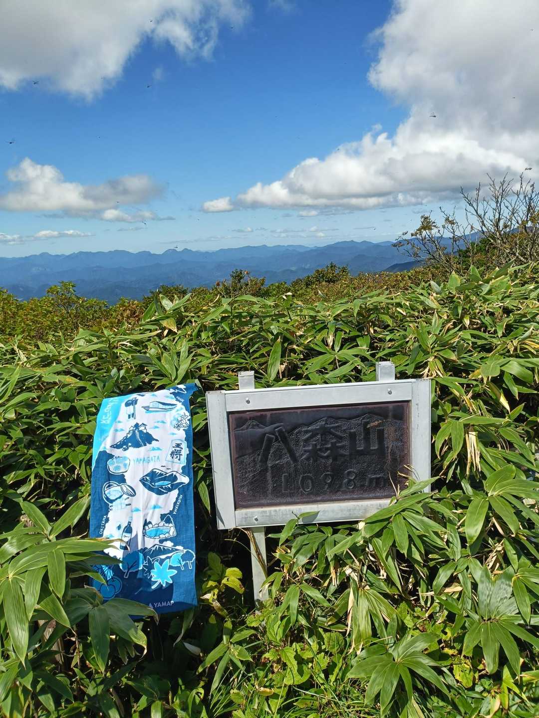 今回、やま百手ぬぐいを初使用