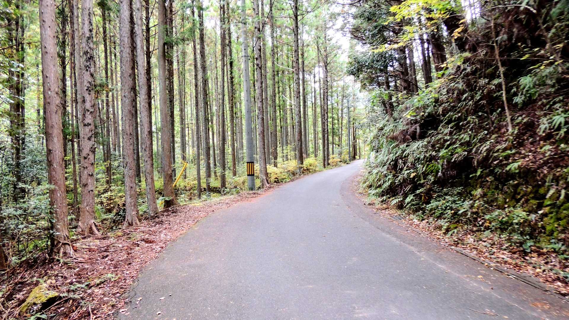 乳岩峡駐車場到着！そして出発です！
まずは登山口目指して徒歩でGoGo！(ここ今は車の乗り入れが出来ません)