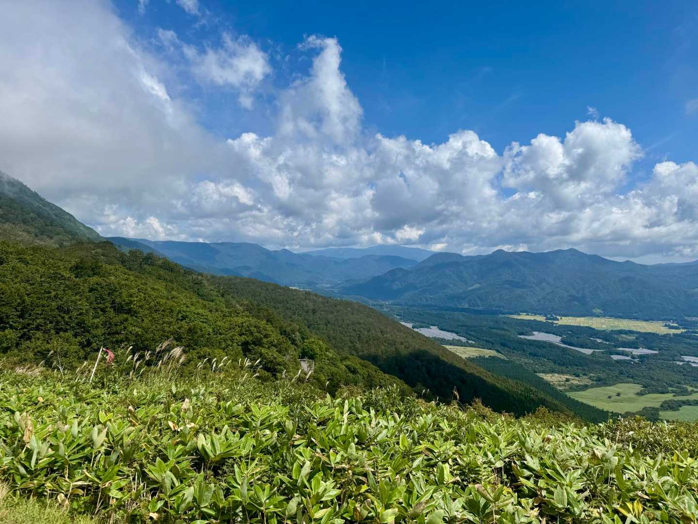 青空再び✨