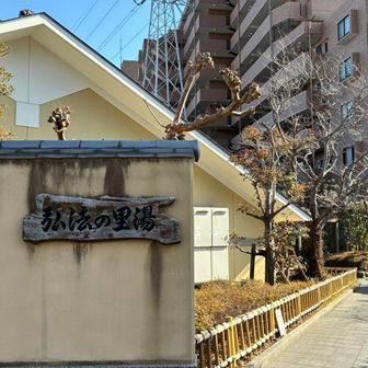 シラスドンもおいしかった